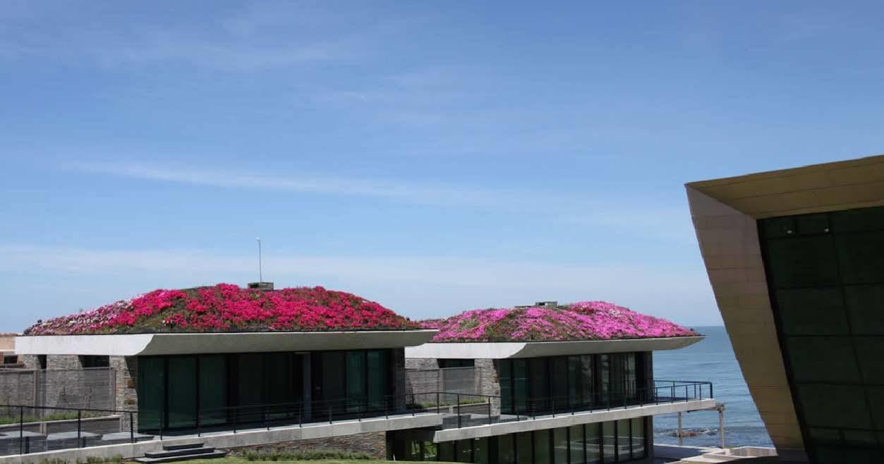 Playa Vik Jose Ignacio Villa Exteriör bild